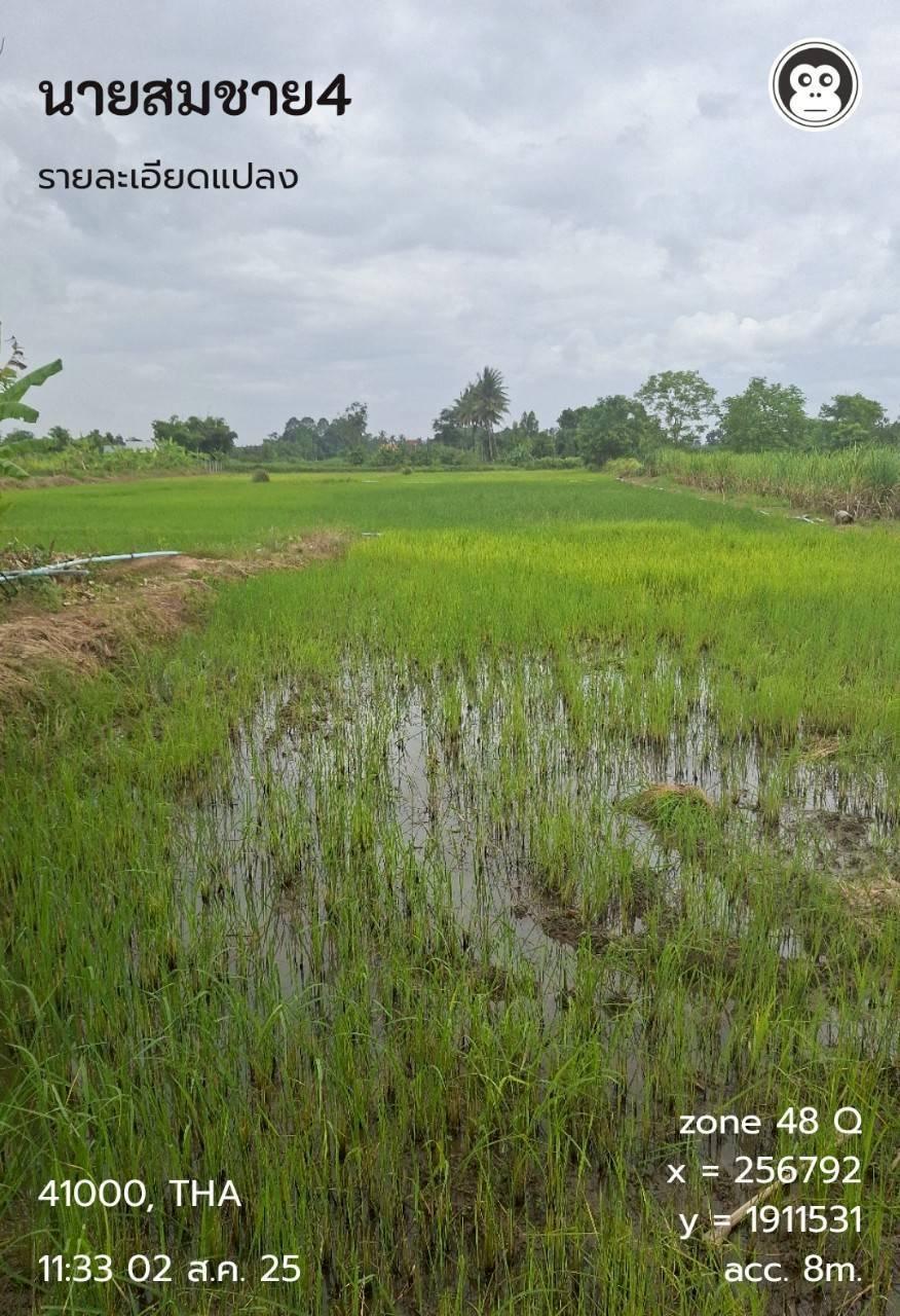 ภาพประกอบที่ 12