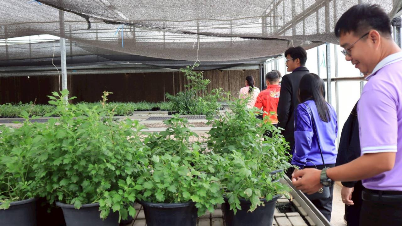 ภาพประกอบที่ 24