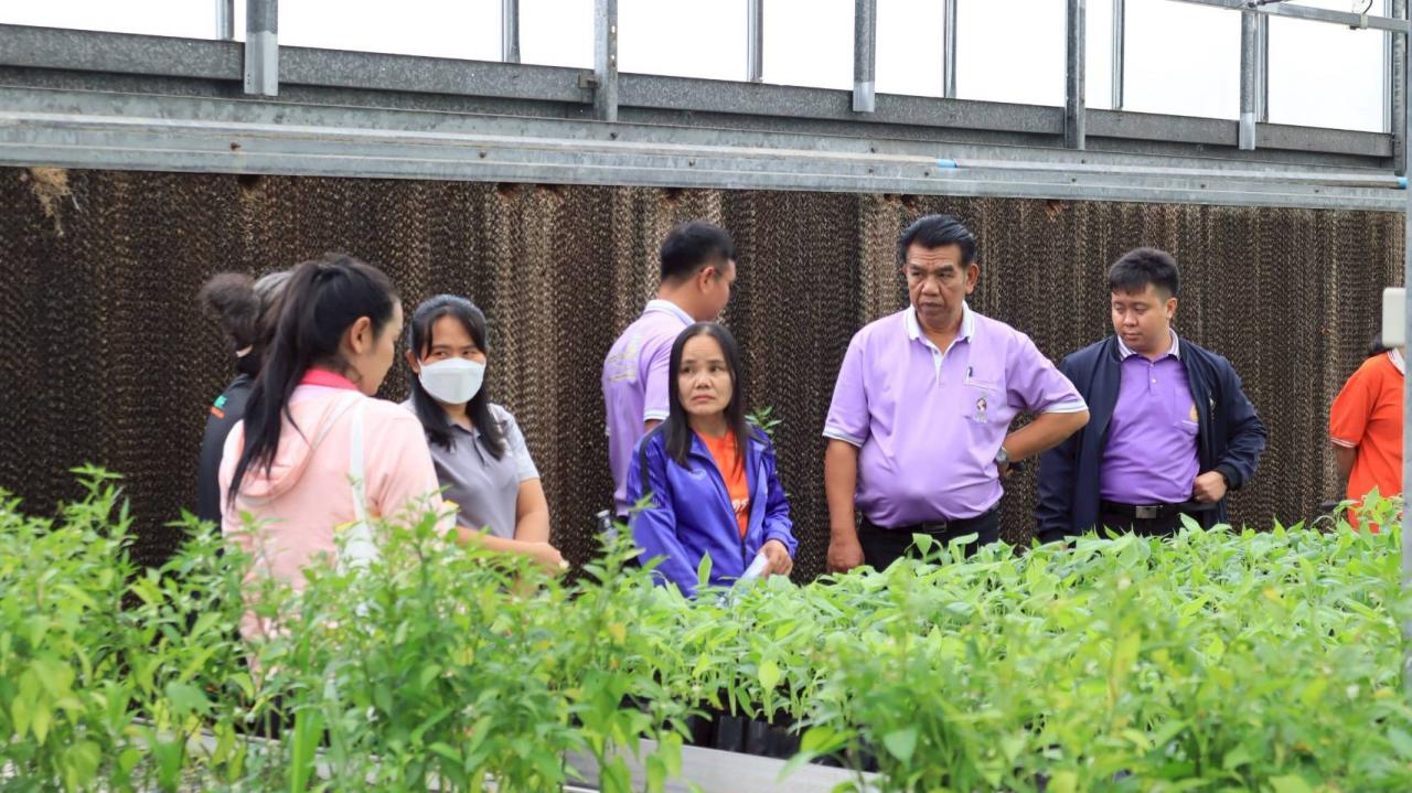 ภาพประกอบที่ 25