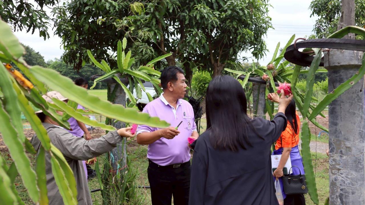 ภาพประกอบที่ 31