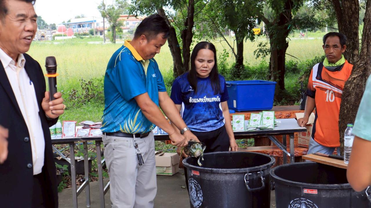 ภาพประกอบที่ 8