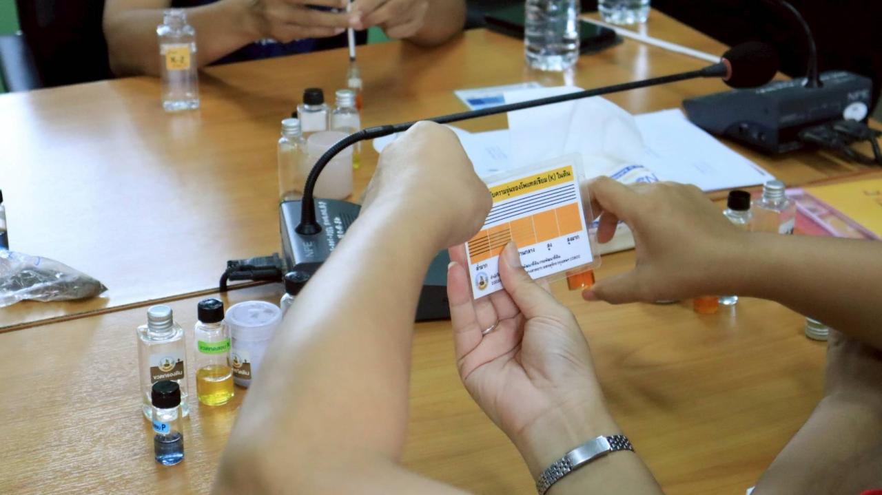 ภาพประกอบที่ 12