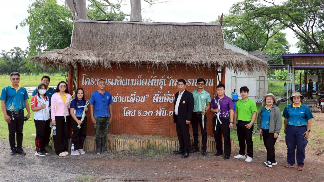 ภาพประกอบที่ 13