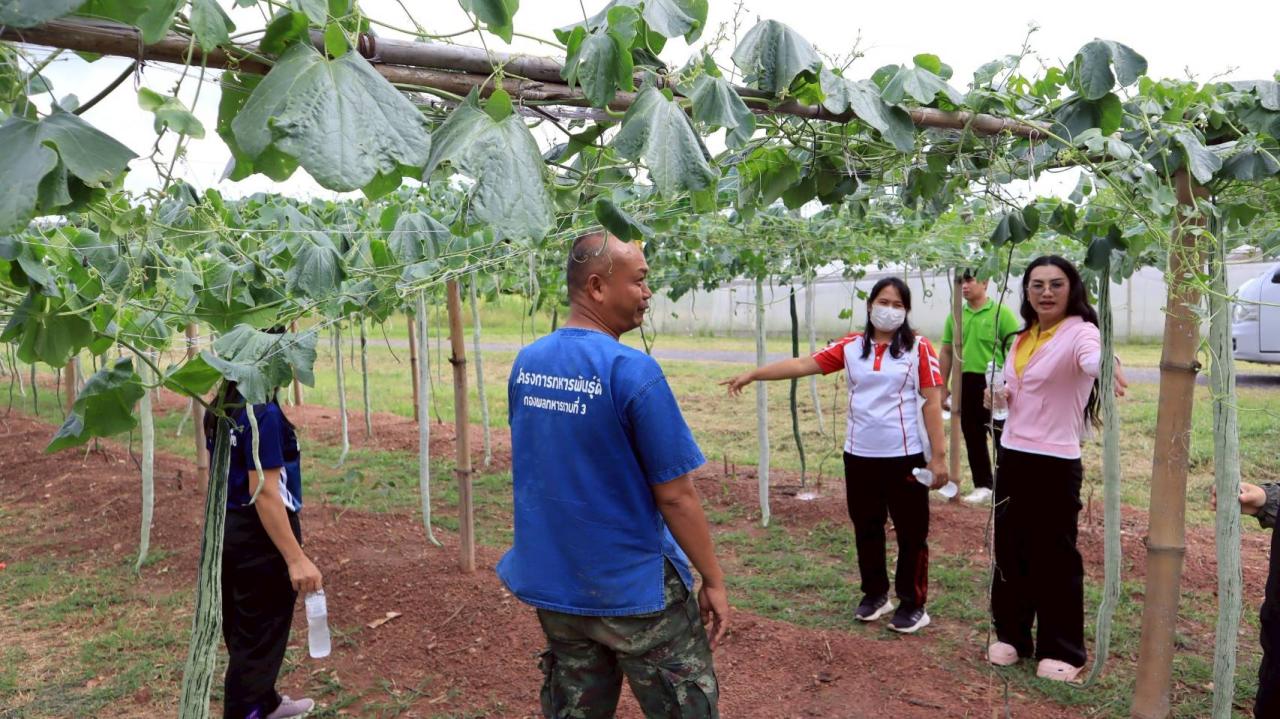 ภาพประกอบที่ 14