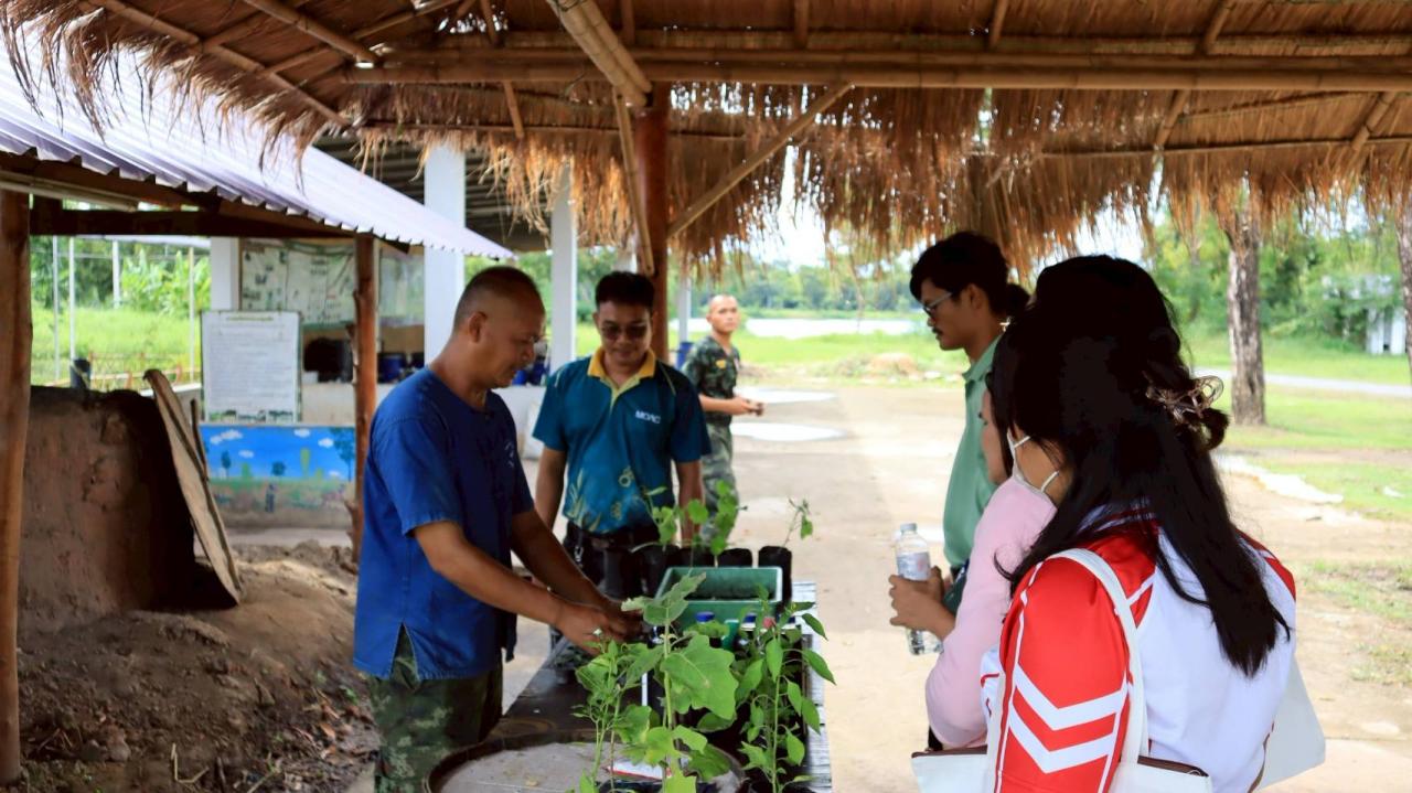 ภาพประกอบที่ 15