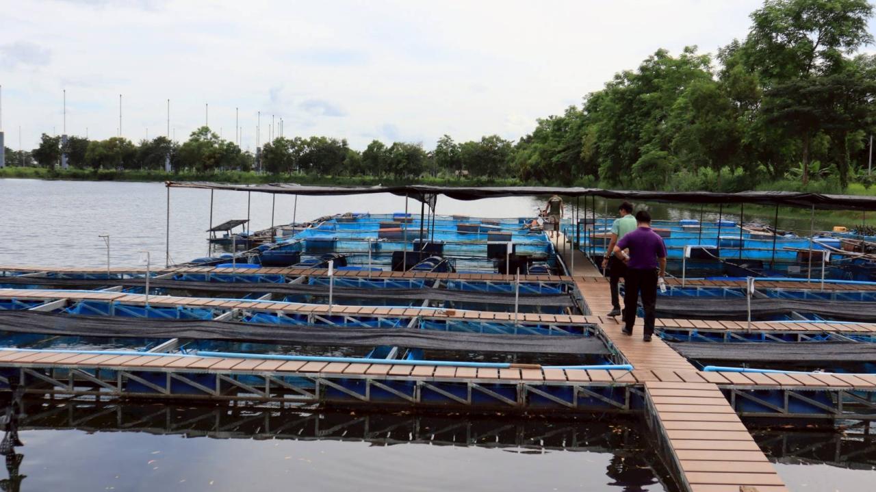 ภาพประกอบที่ 18