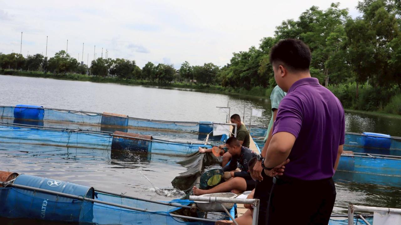 ภาพประกอบที่ 19