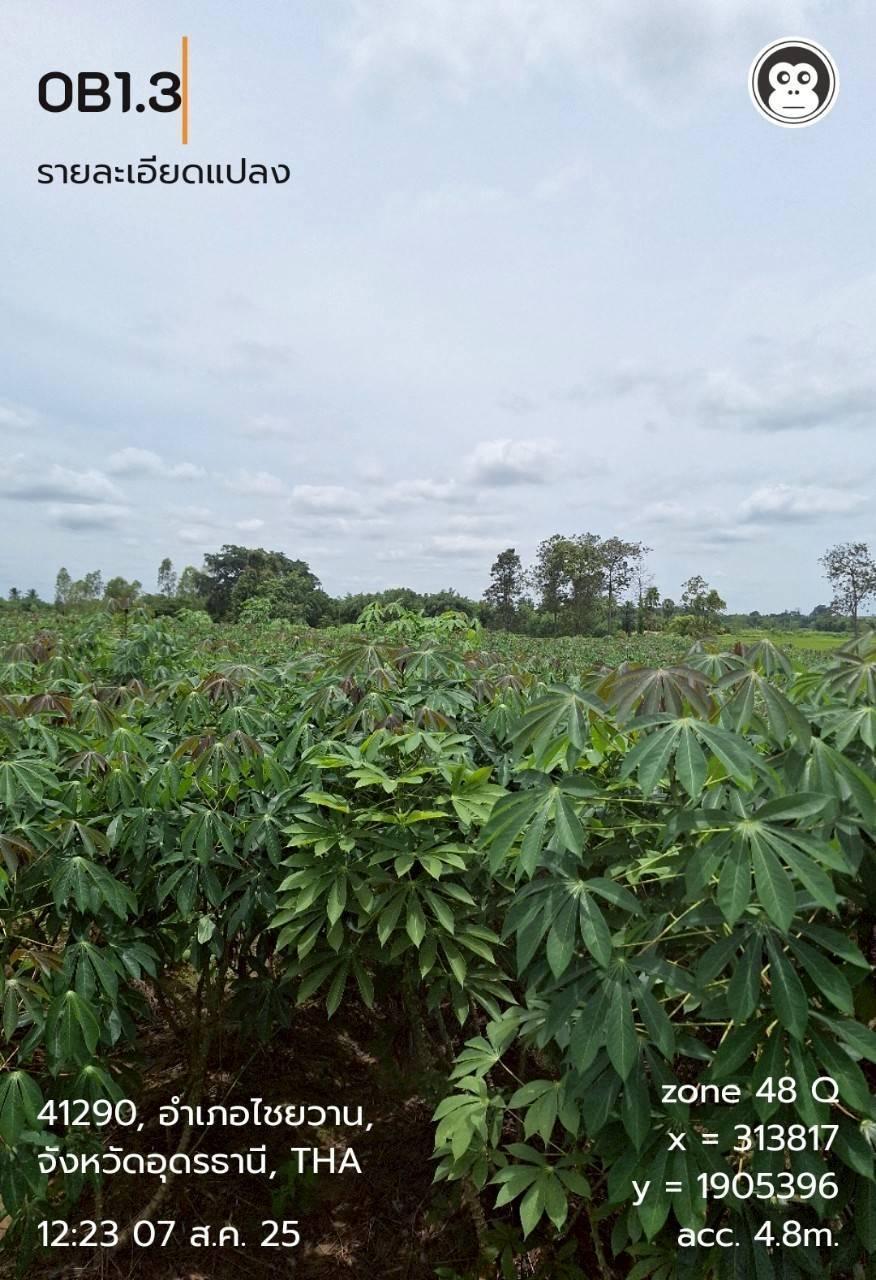 ภาพประกอบที่ 7