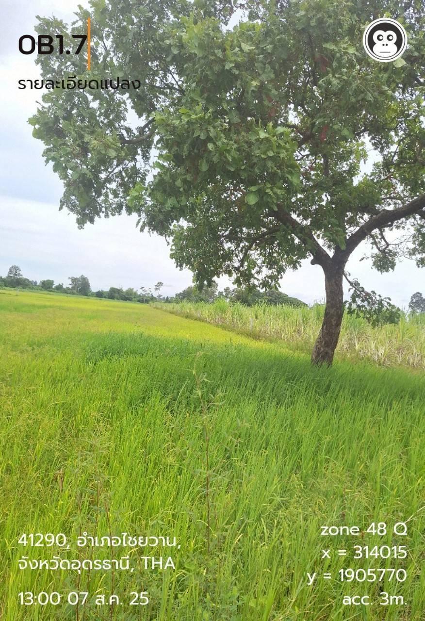 ภาพประกอบที่ 8