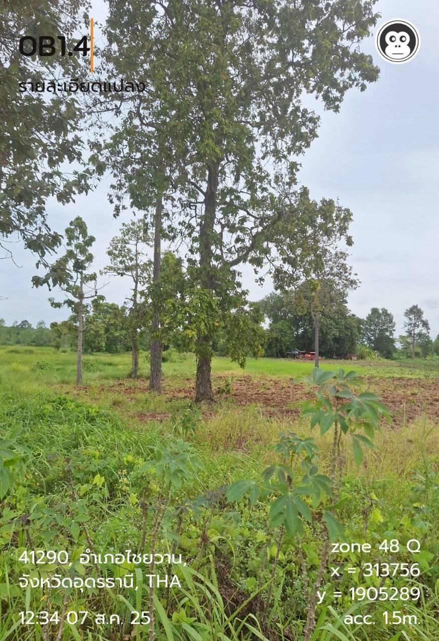 ภาพประกอบที่ 9