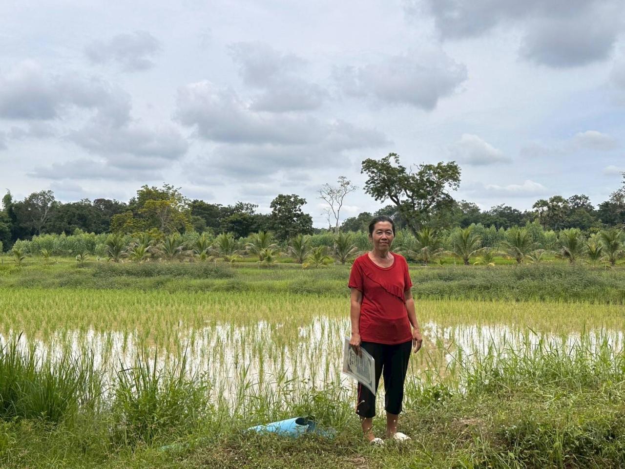 ภาพประกอบที่ 9