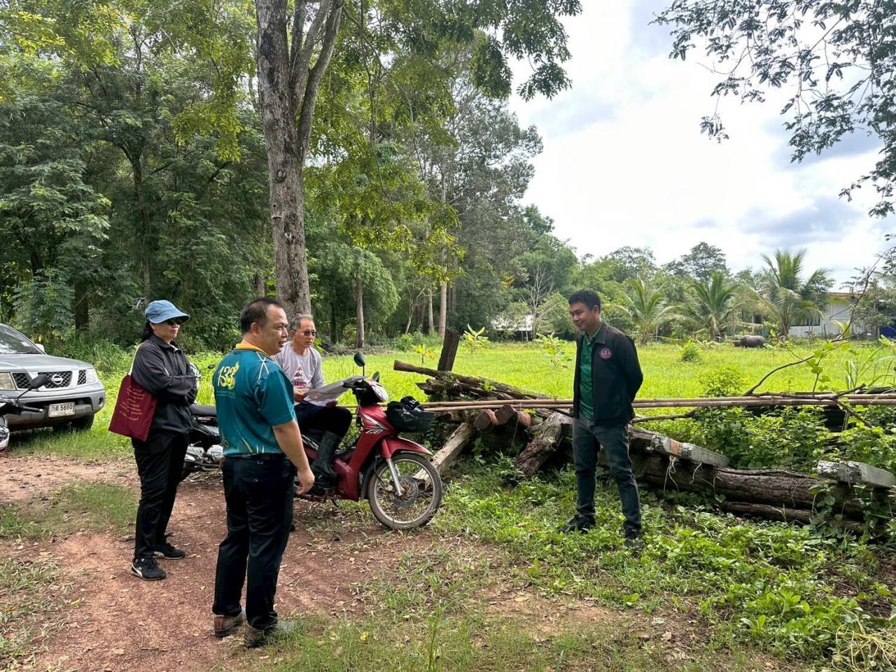 ภาพประกอบที่ 11