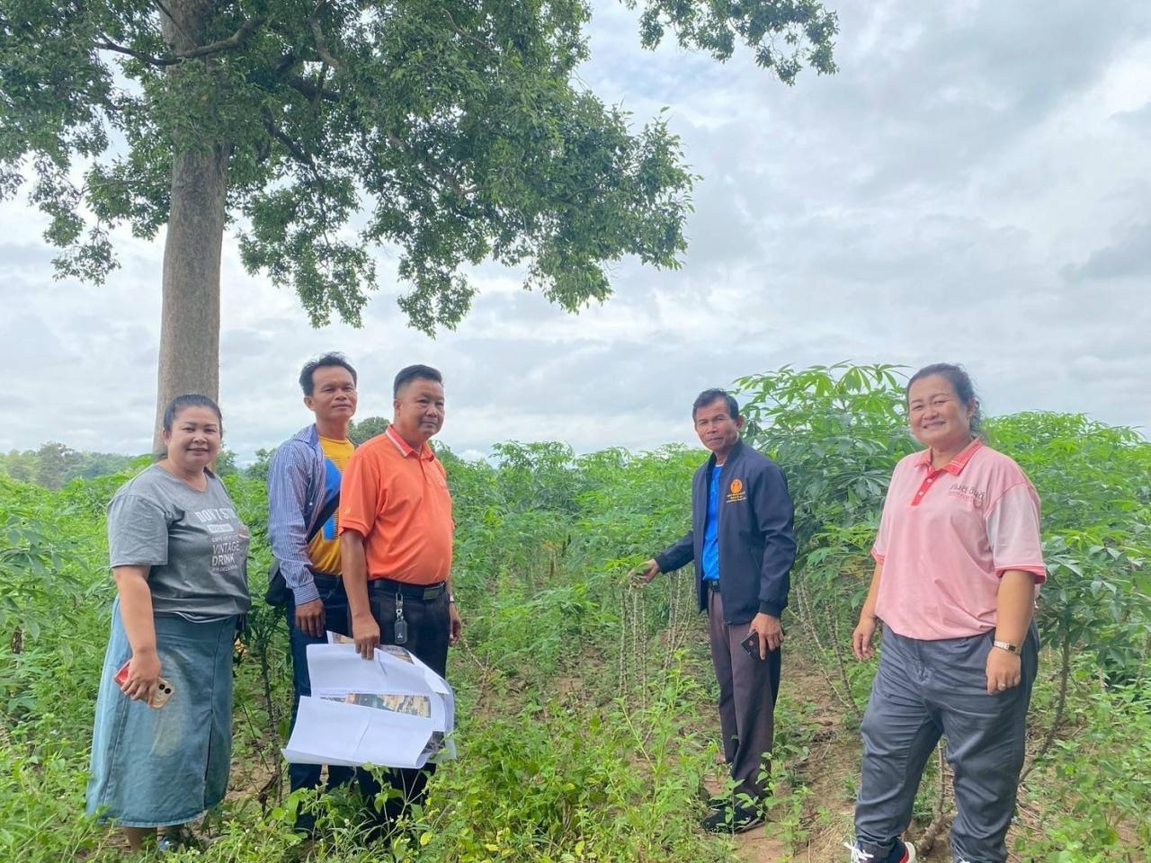 ภาพประกอบที่ 10