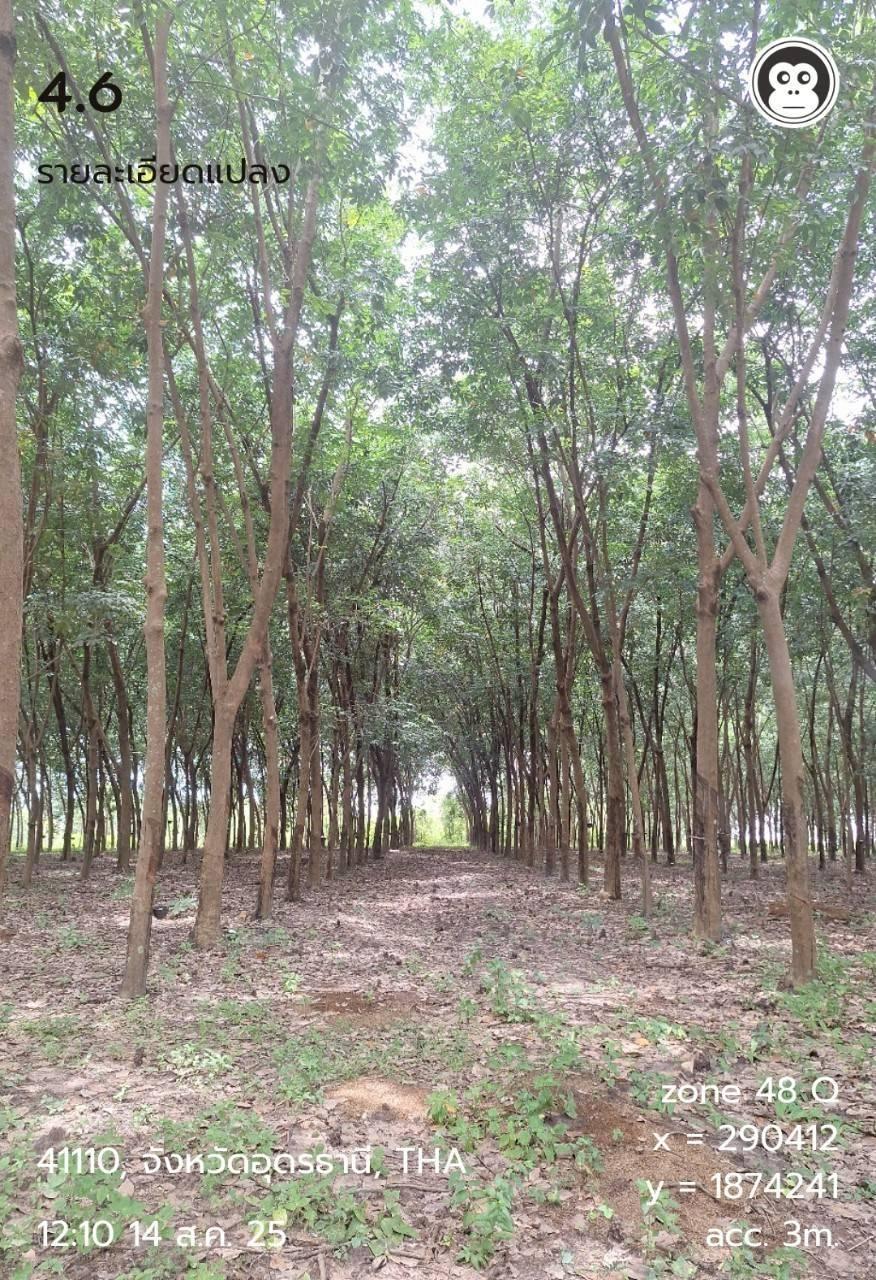 ภาพประกอบที่ 5