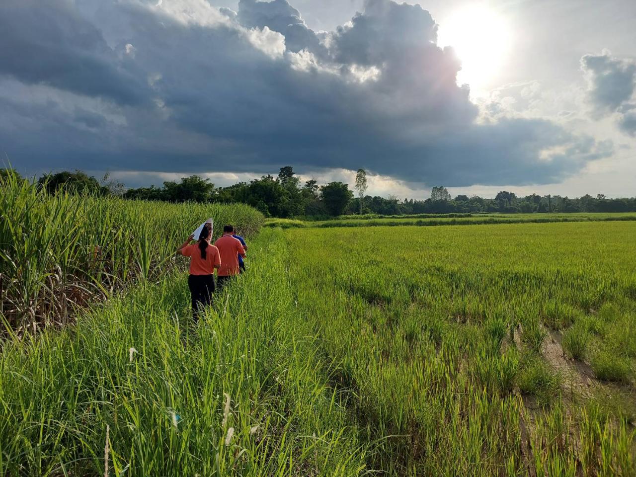 ภาพประกอบที่ 8