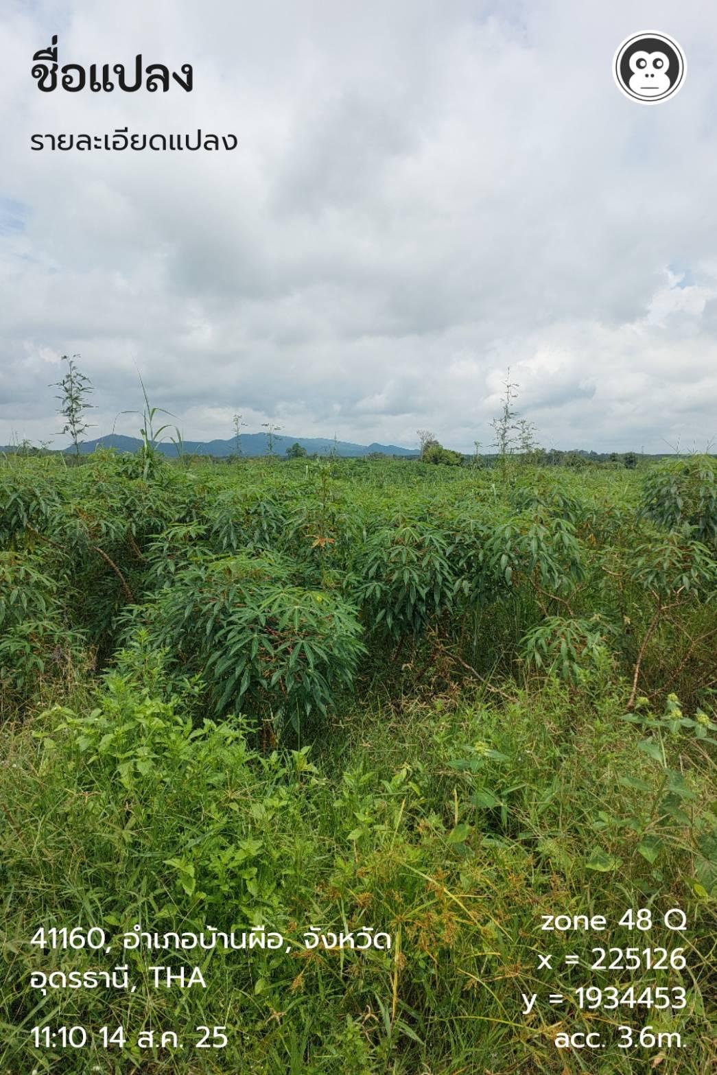 ภาพประกอบที่ 9