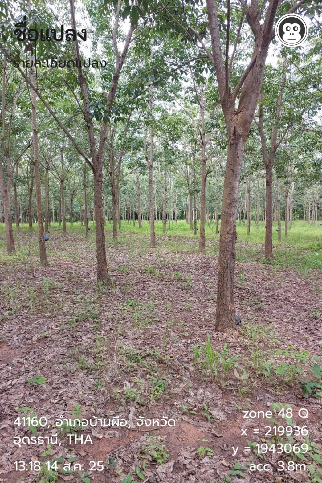 ภาพประกอบที่ 11