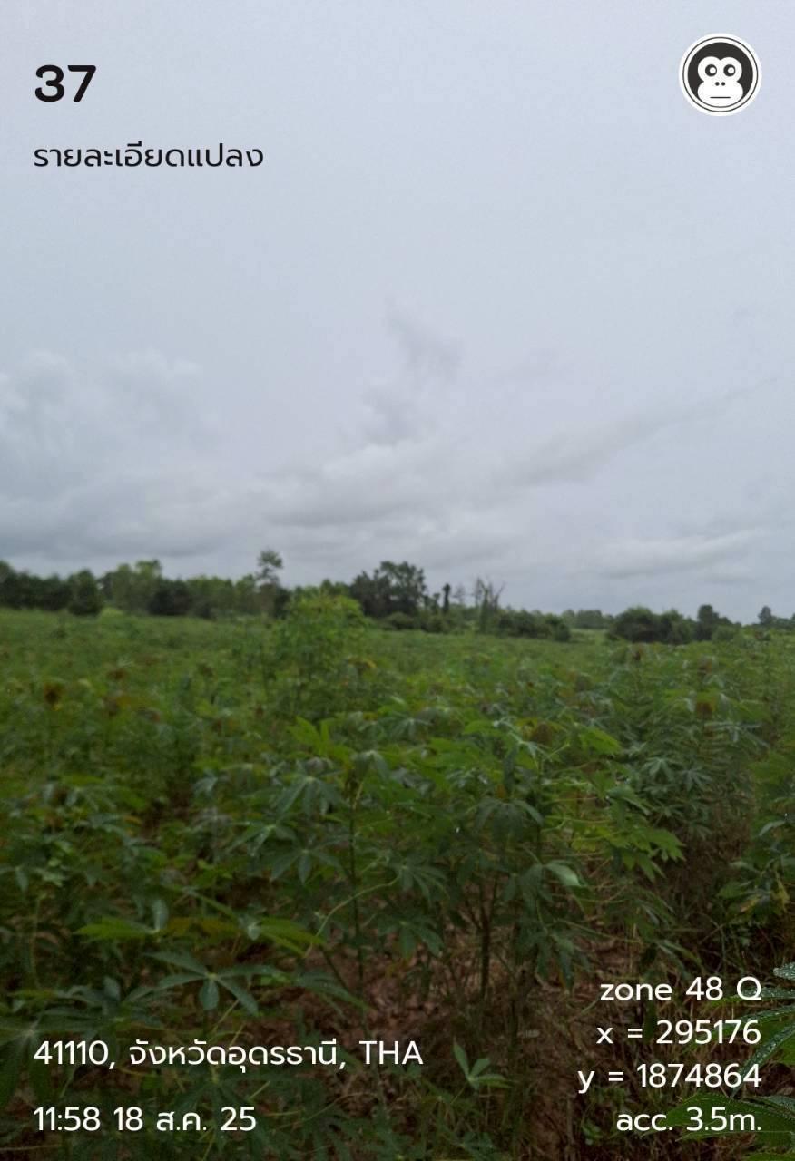 ภาพประกอบที่ 7