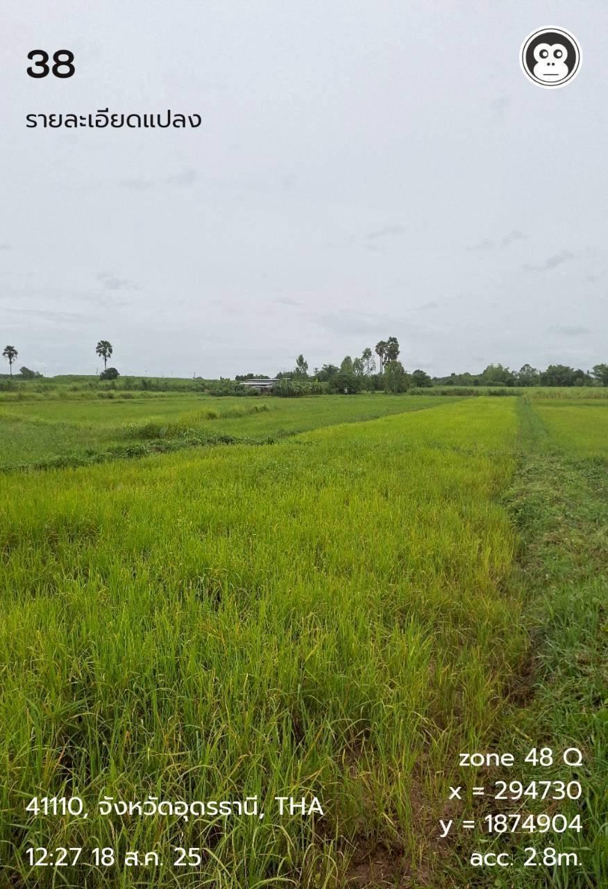 ภาพประกอบที่ 8