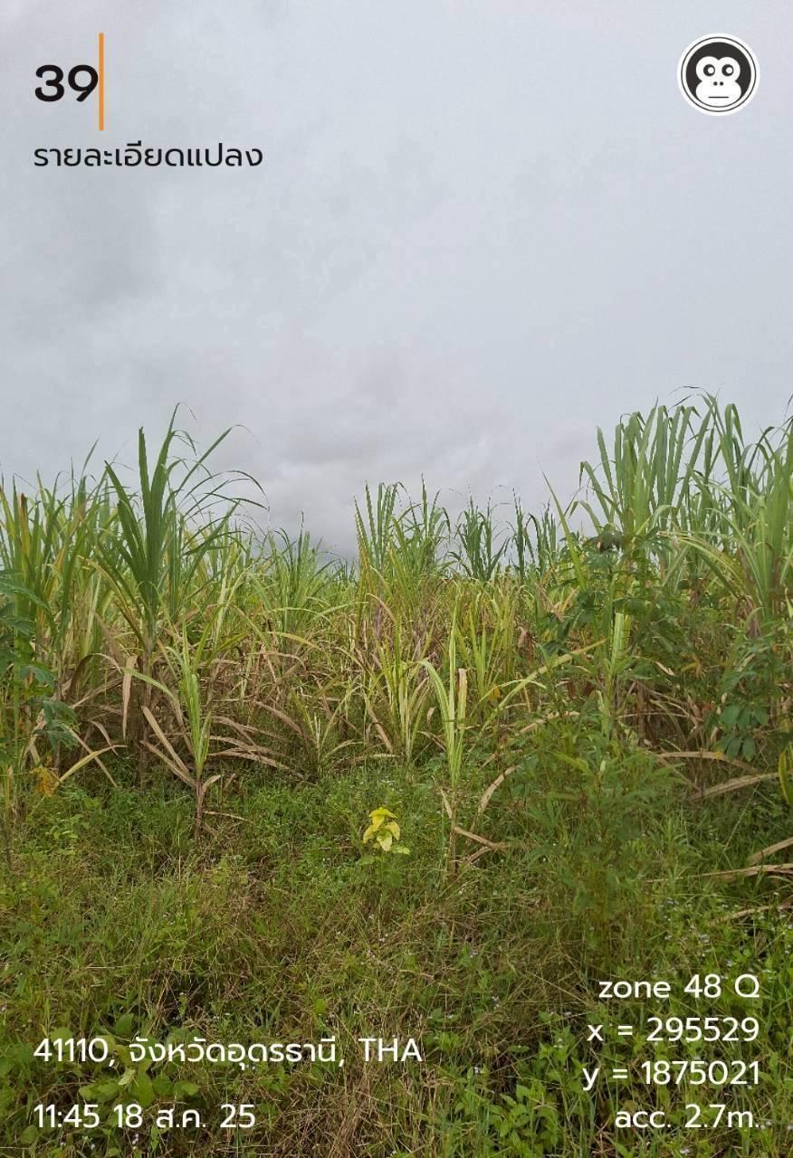 ภาพประกอบที่ 9