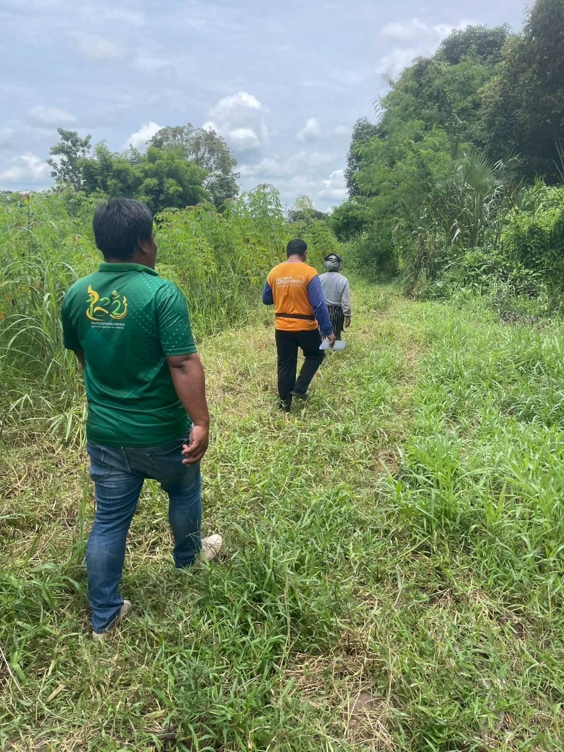 ภาพประกอบที่ 4