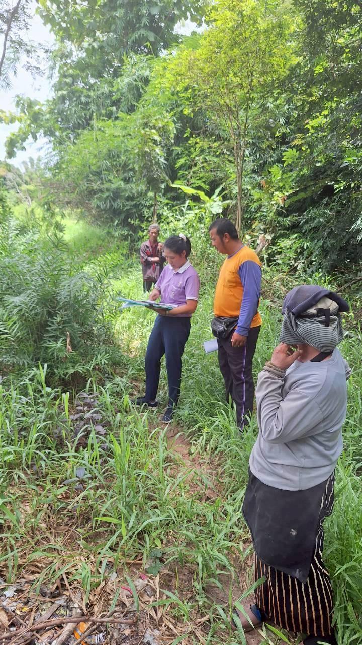 ภาพประกอบที่ 7