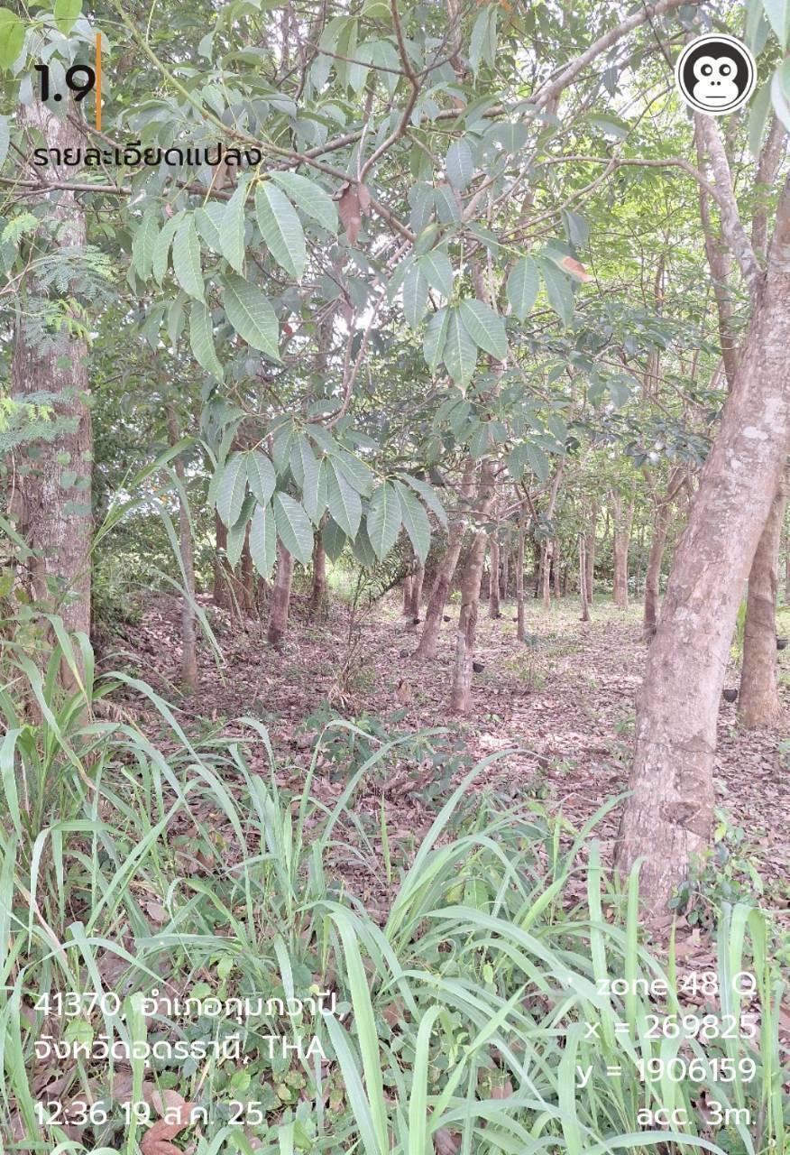 ภาพประกอบที่ 8