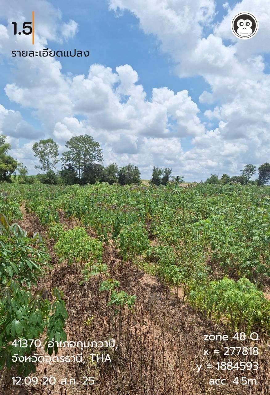 ภาพประกอบที่ 6