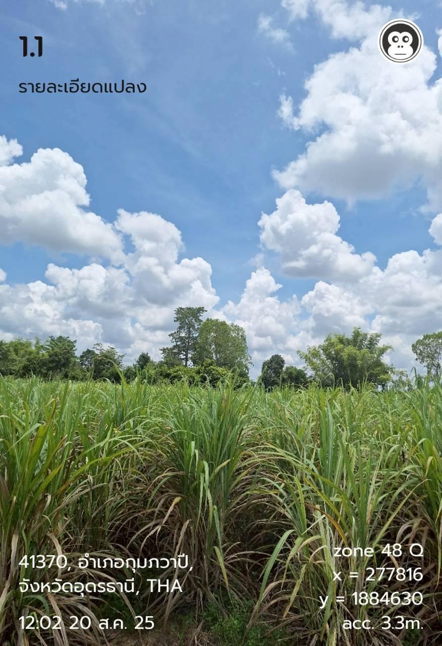 ภาพประกอบที่ 7