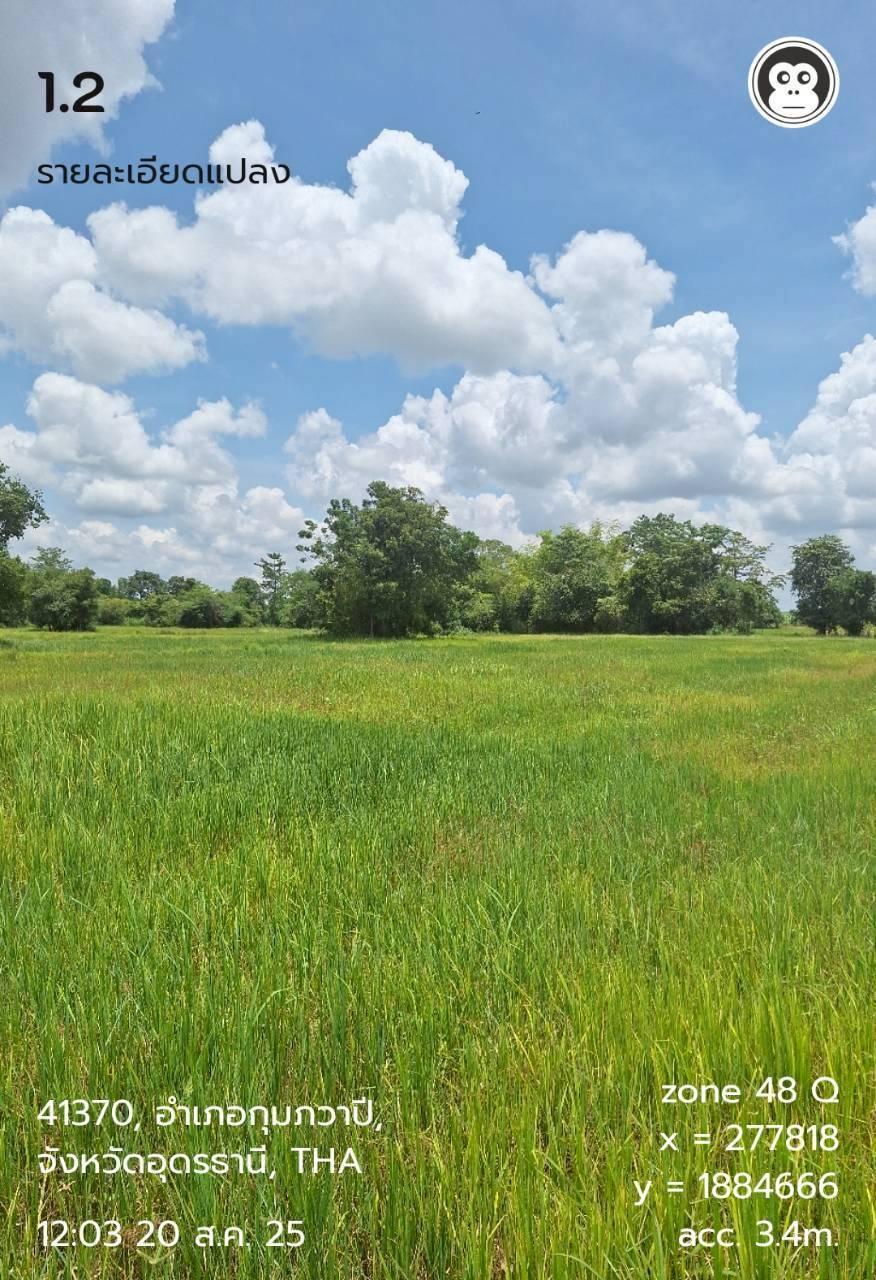 ภาพประกอบที่ 8