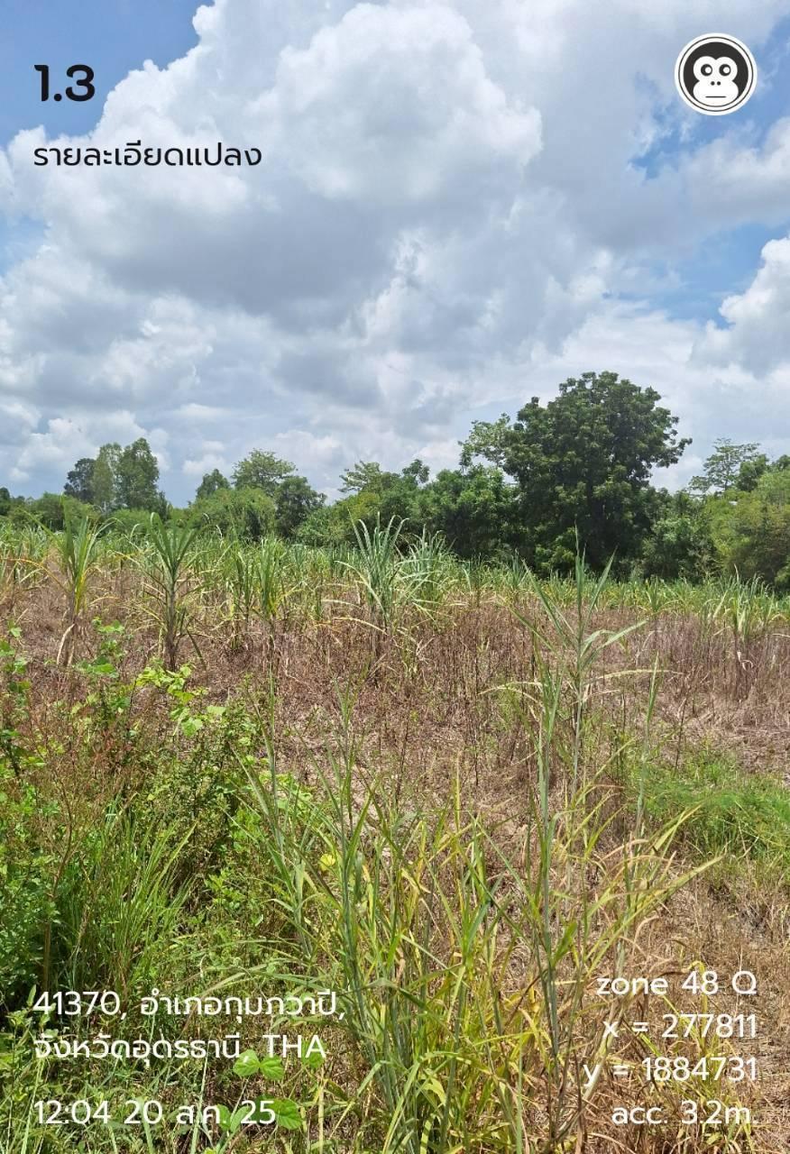 ภาพประกอบที่ 9