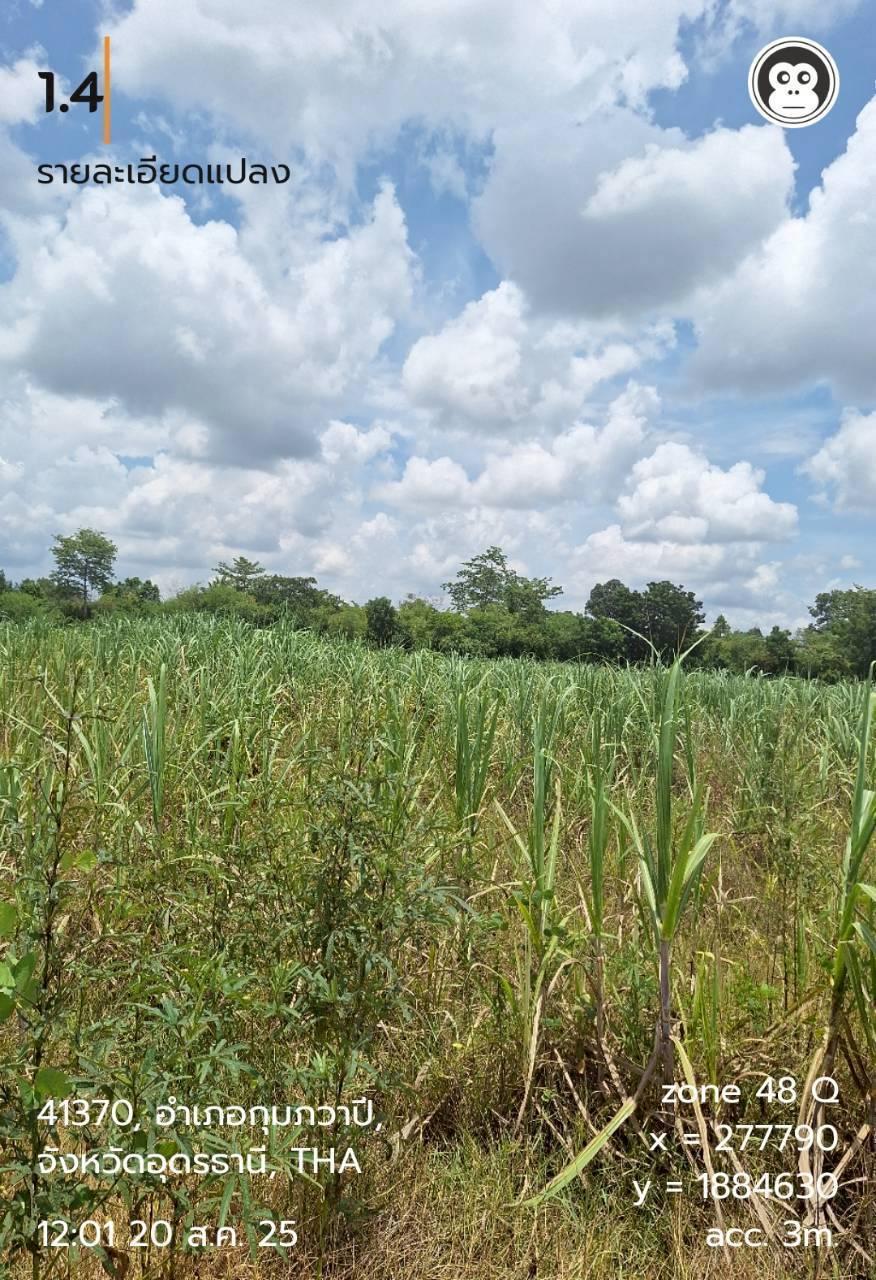 ภาพประกอบที่ 10