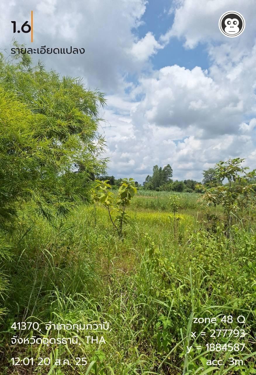 ภาพประกอบที่ 11