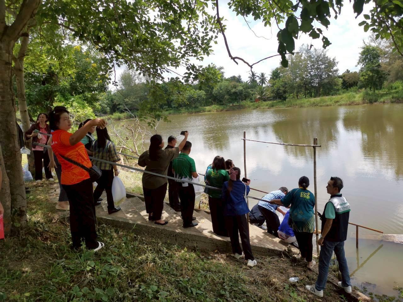 ภาพประกอบที่ 7