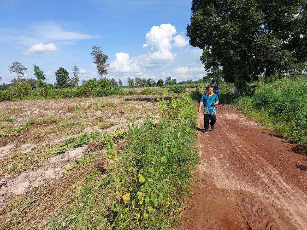 ภาพประกอบที่ 8