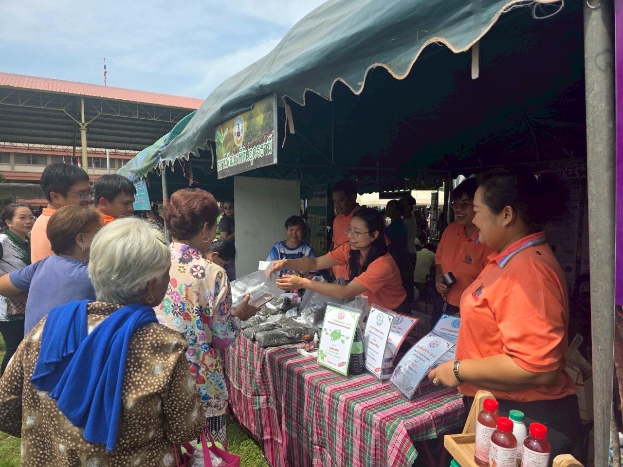 ภาพประกอบที่ 11