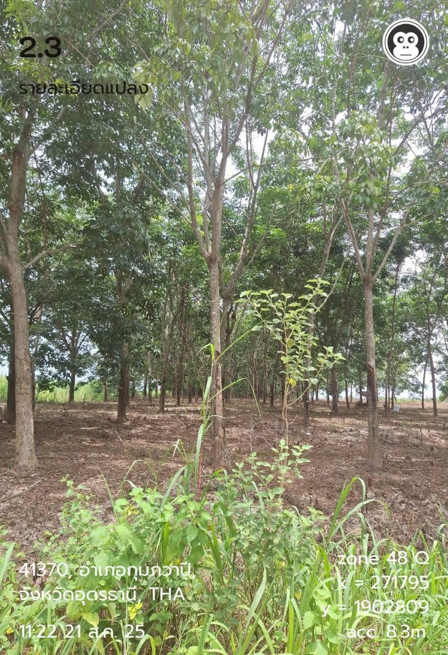 ภาพประกอบที่ 7