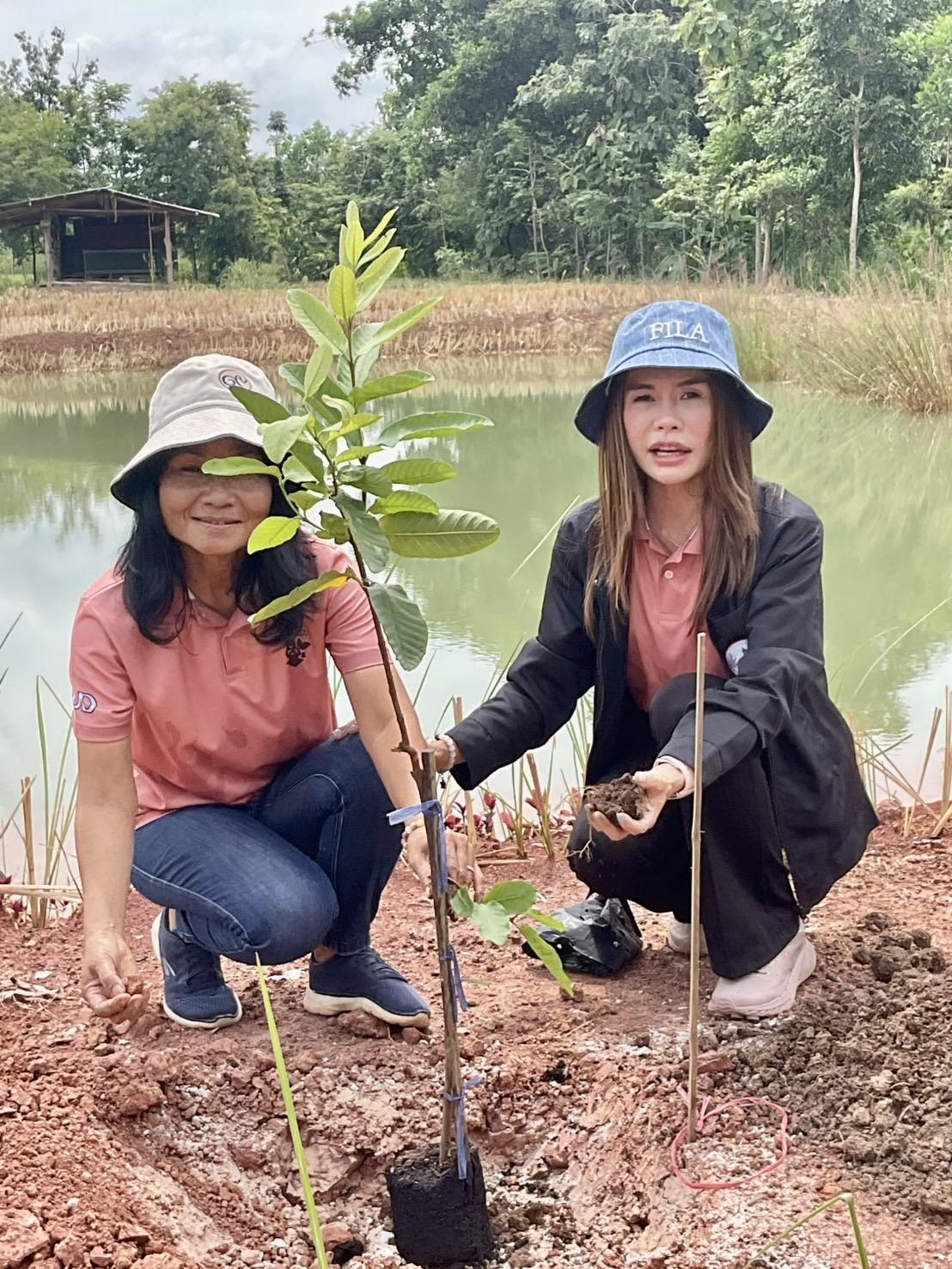 ภาพประกอบที่ 0