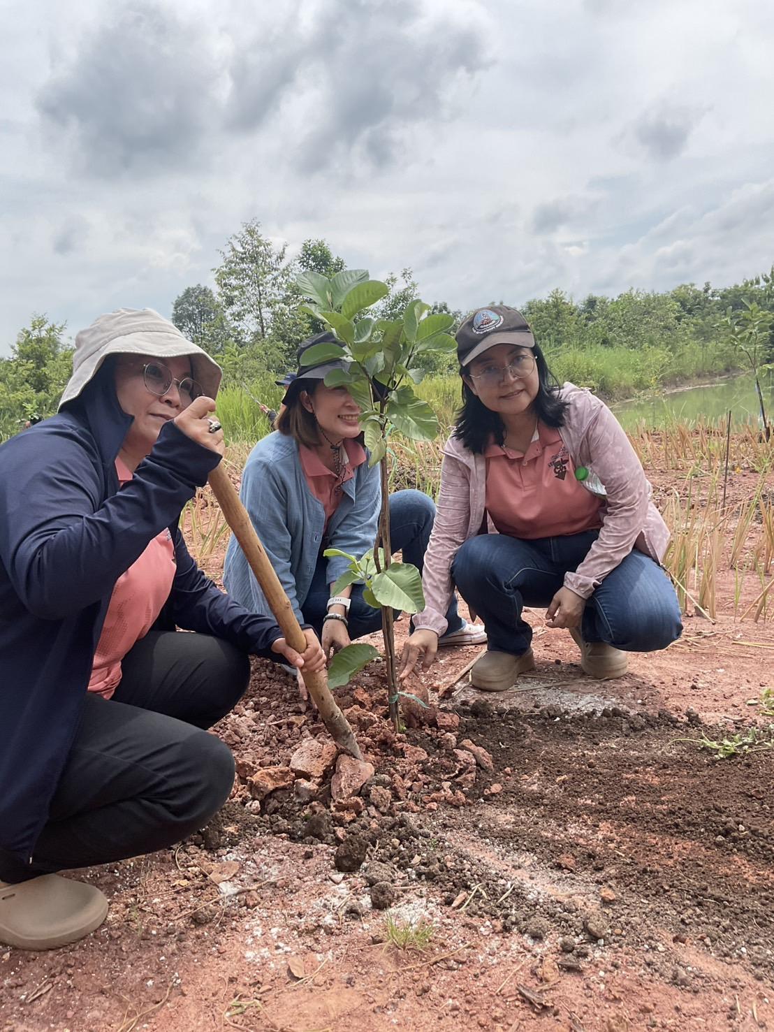 ภาพประกอบที่ 2