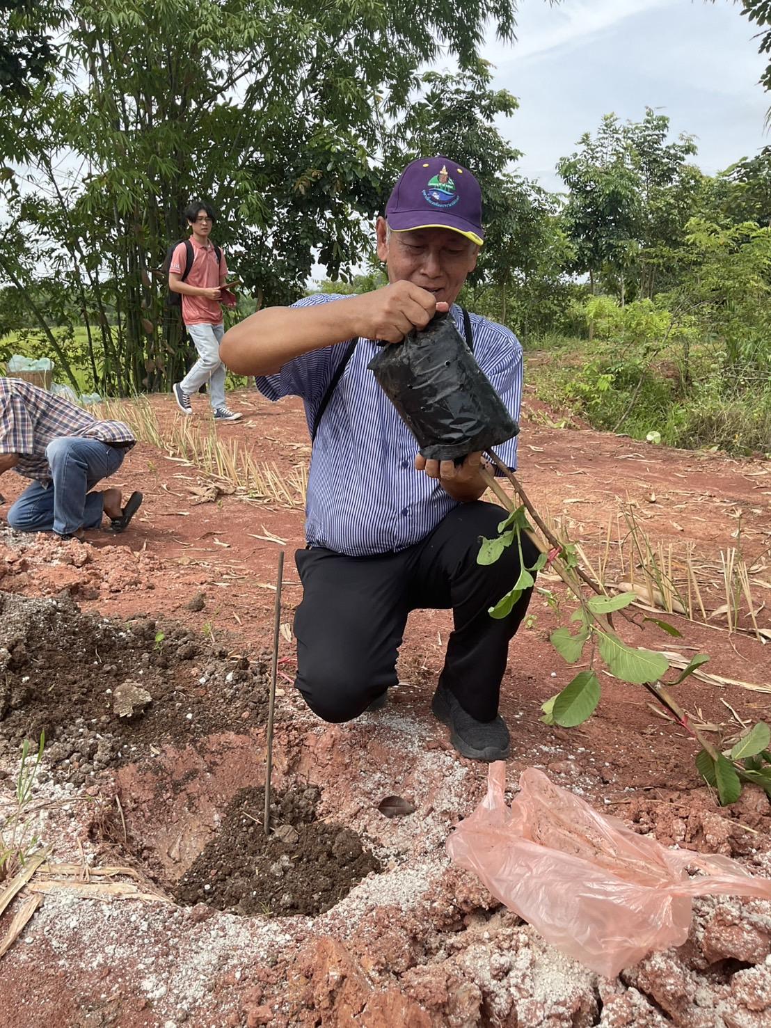 ภาพประกอบที่ 3