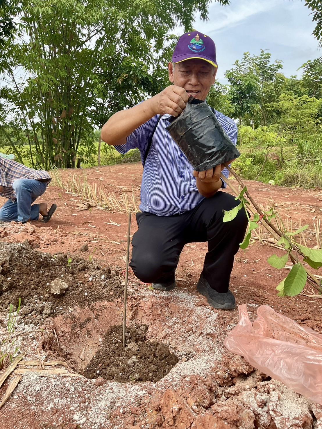 ภาพประกอบที่ 4