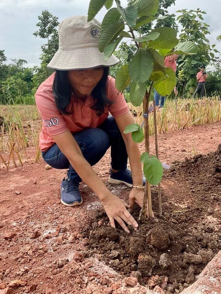 ภาพประกอบที่ 17