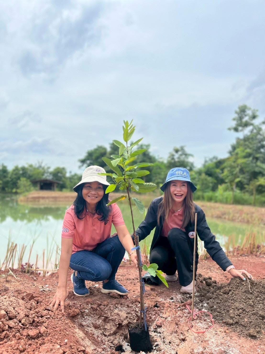 ภาพประกอบที่ 19