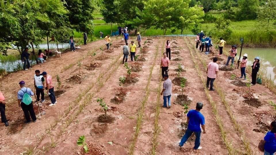ภาพประกอบที่ 21