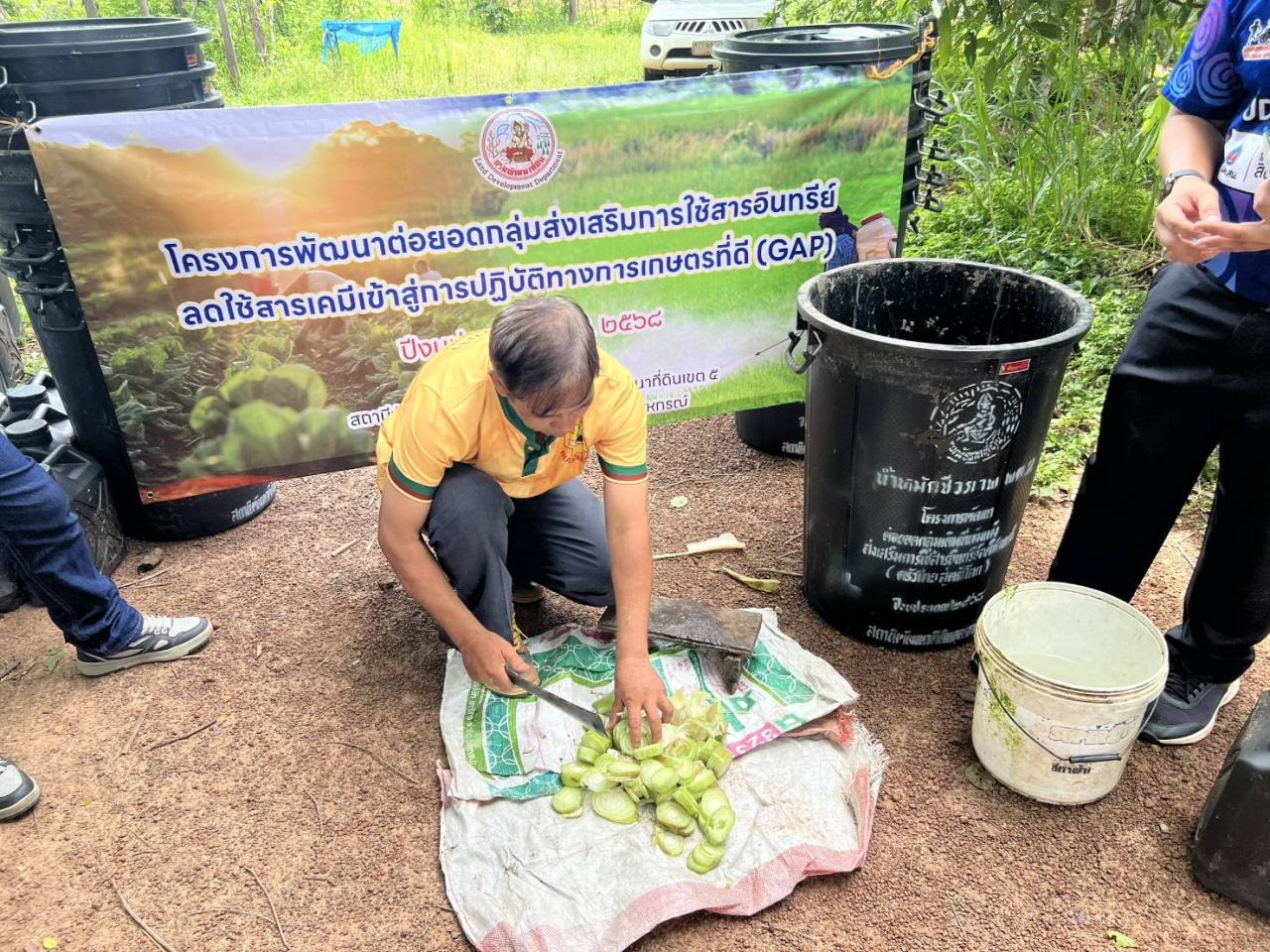 ภาพประกอบที่ 0