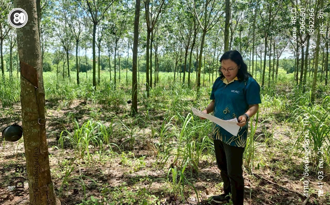 ภาพประกอบที่ 6