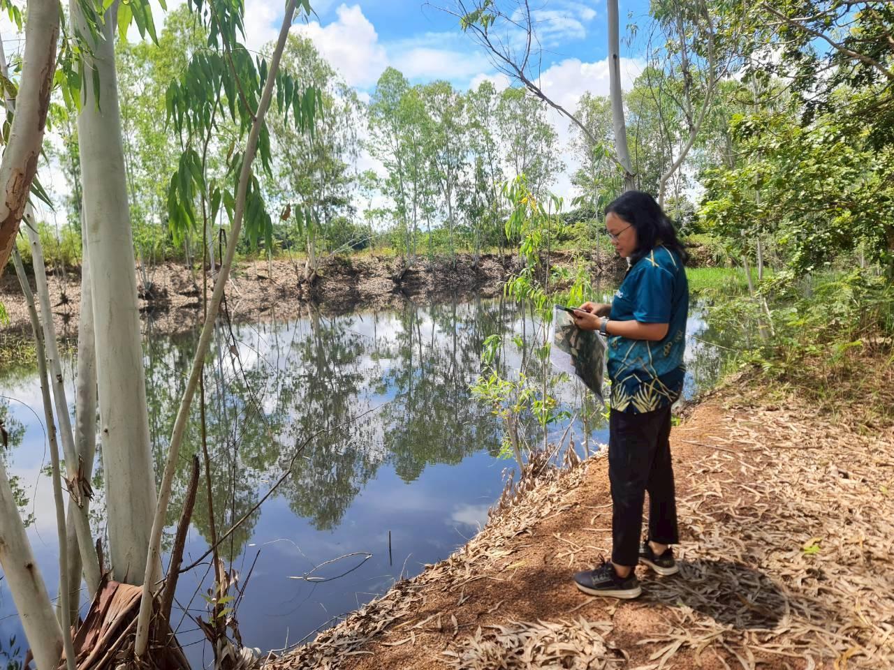 ภาพประกอบที่ 7