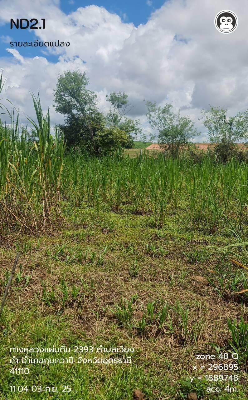 ภาพประกอบที่ 9