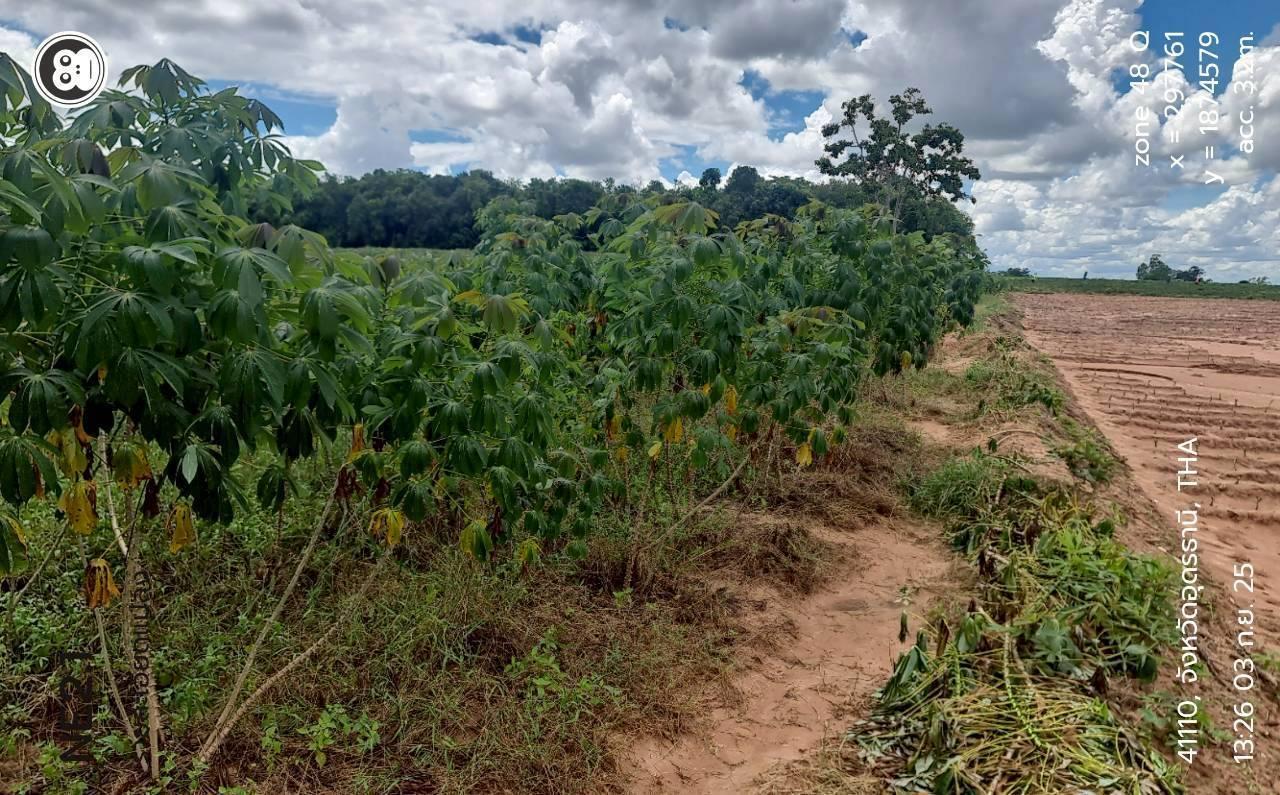 ภาพประกอบที่ 12