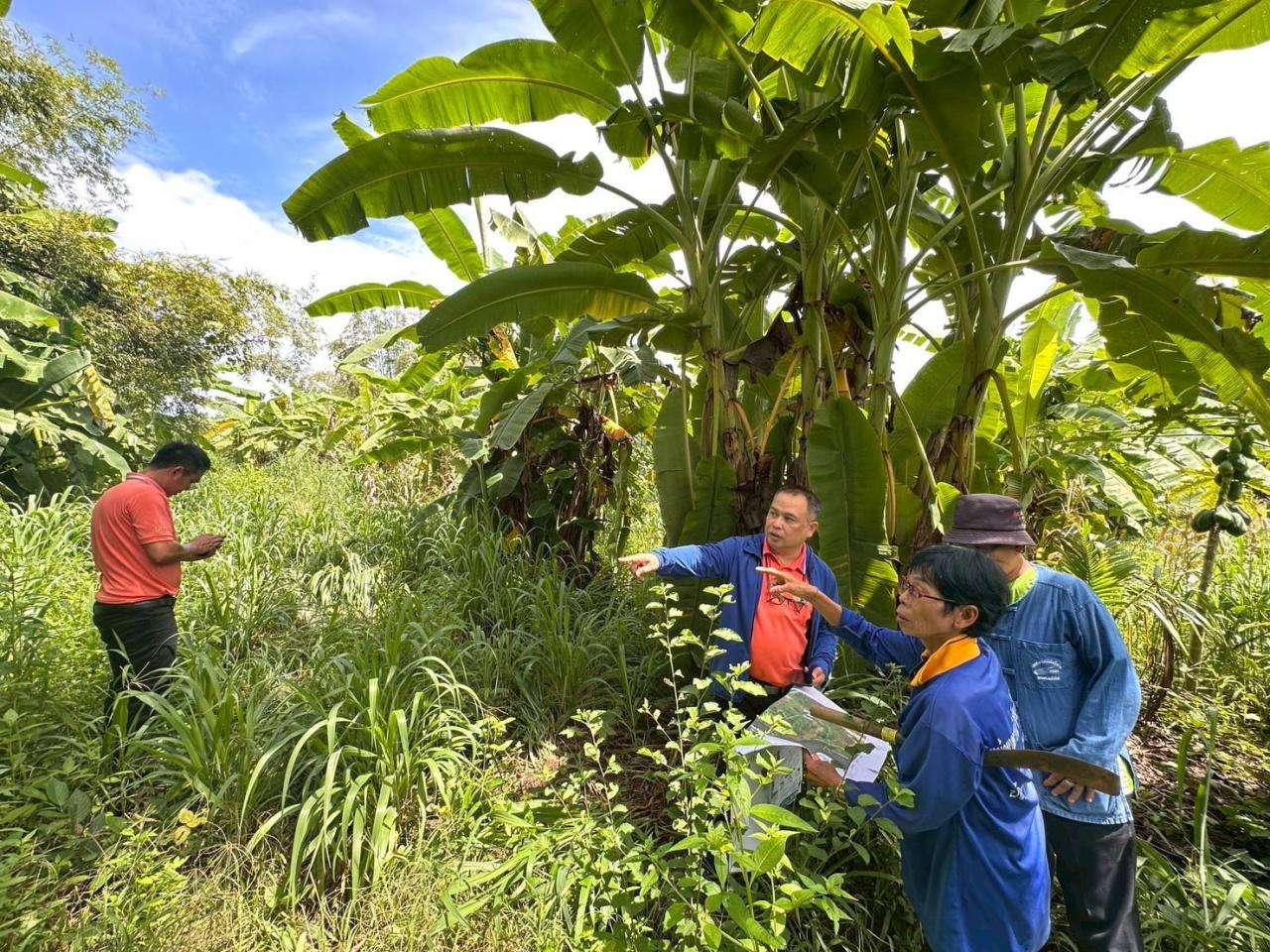 ภาพประกอบที่ 5
